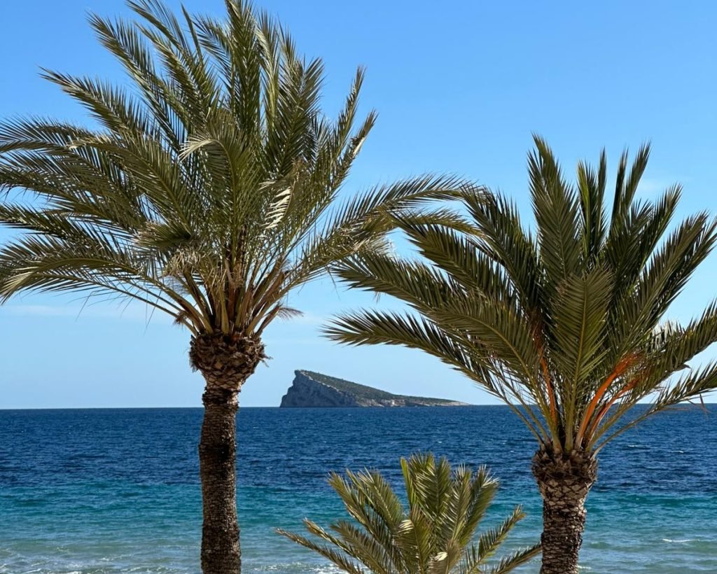 PHOTO-2026-02-07-19-58-22(5)