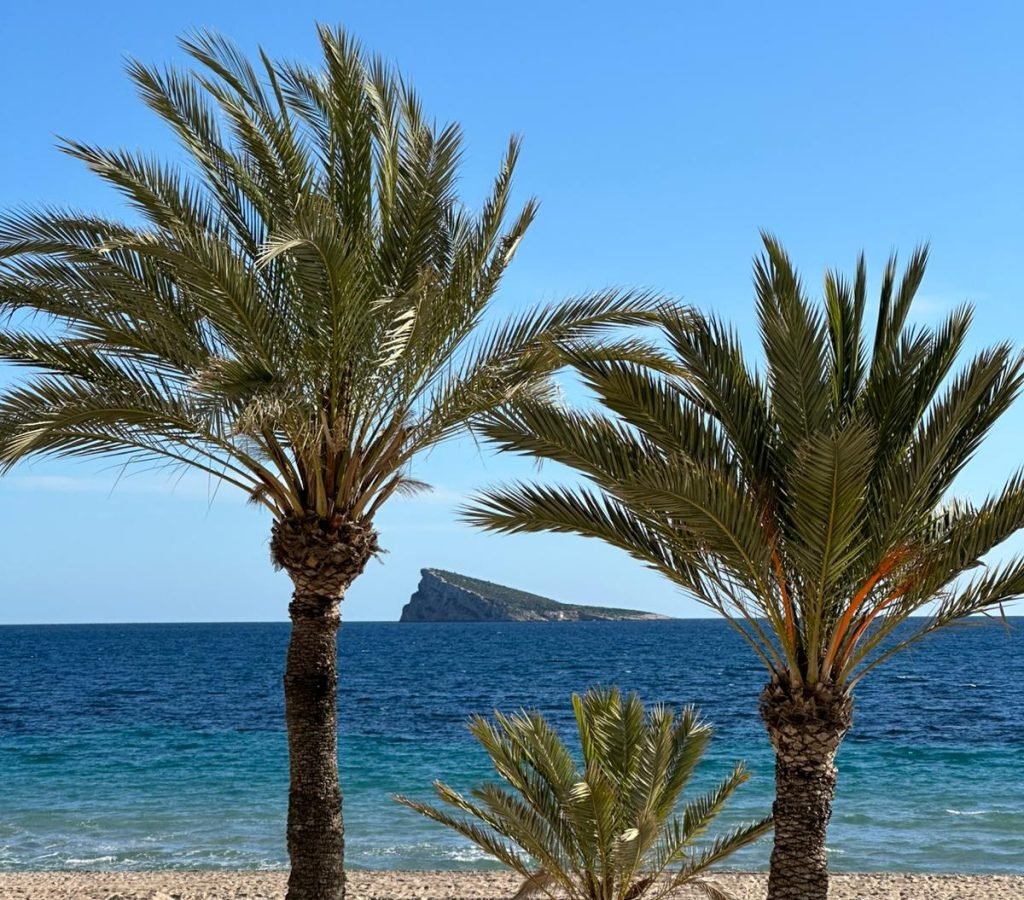 PHOTO-2026-02-07-19-58-22(5)