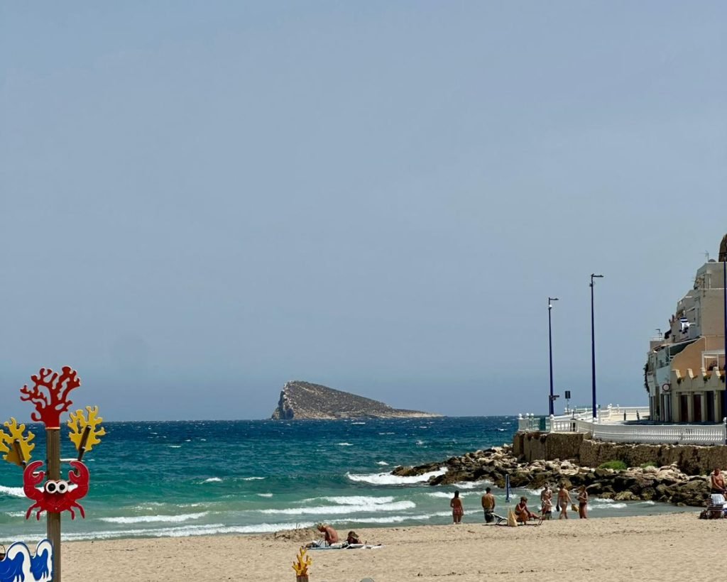 PHOTO-2026-02-07-19-58-25(1)