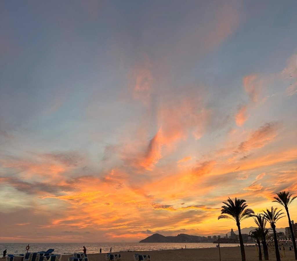 PHOTO-2026-02-07-19-58-37(2)