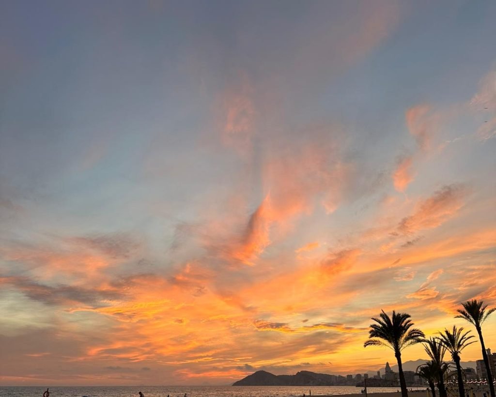 PHOTO-2026-02-07-19-58-37(2)